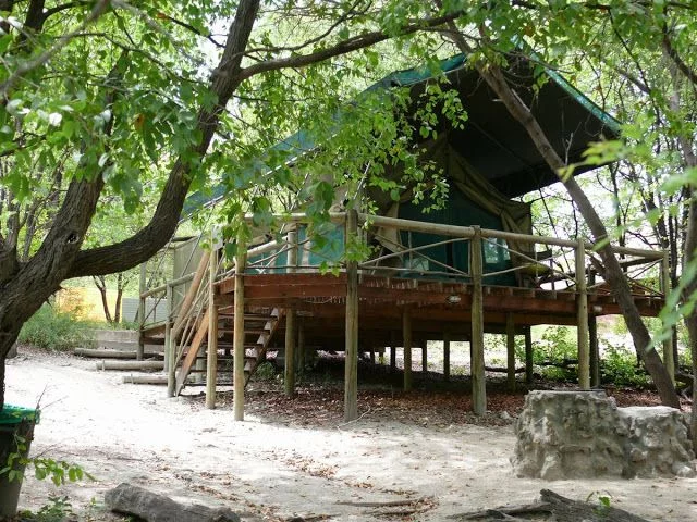 tienda de audi camp audi camp, camping botswana, camping maun, acampar en botsuana