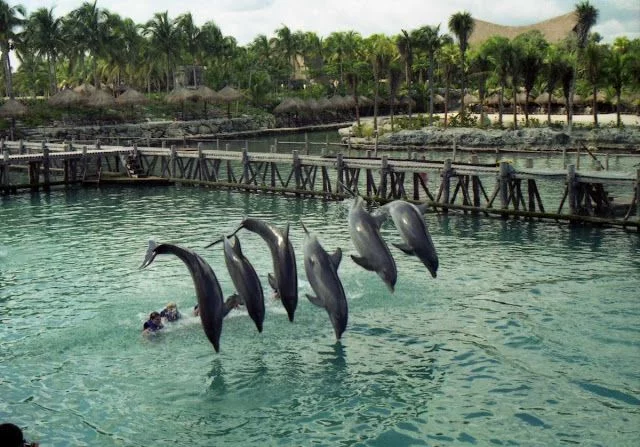 playa del Carmen