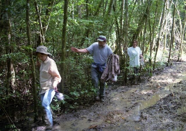 Tour a Yaxchilán y Bonampak