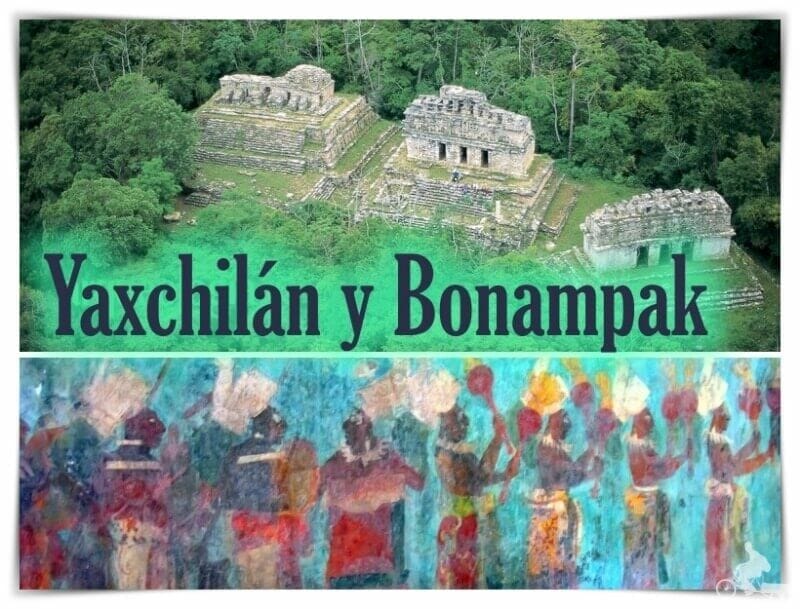 Ir a Yaxchilán y Bonampak desde Palenque