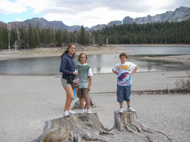 Horshoe lake (Mammoth lakes)