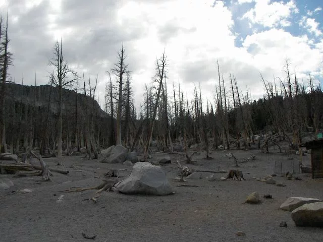 Horshoe lake (Mammoth lakes)