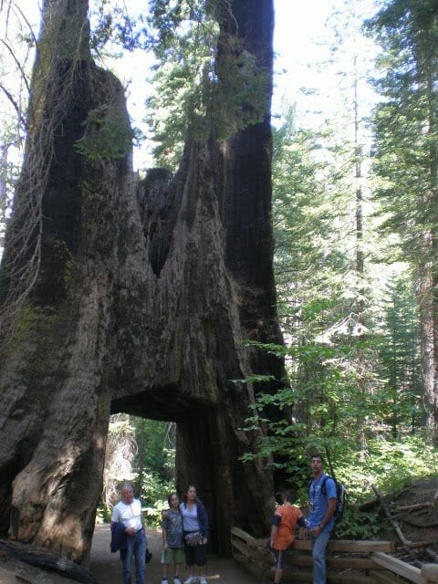 qué ver en Yosemite en un día