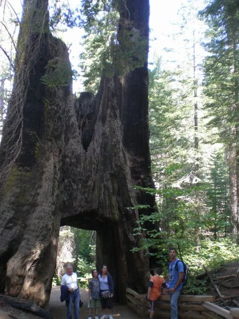 qué ver en Yosemite en un día