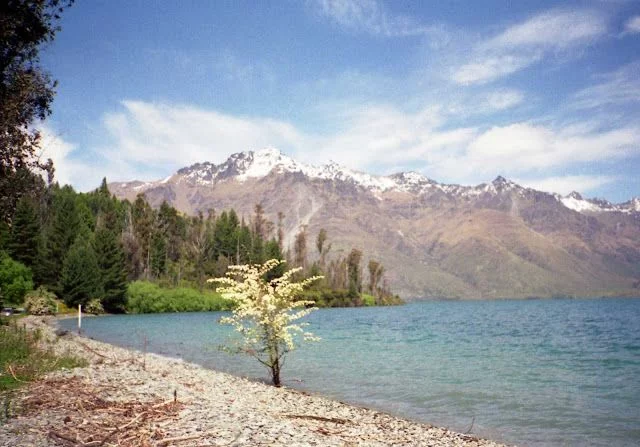Viaje a Nueva Zelanda