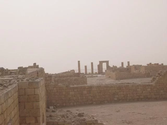 desierto del Néguev