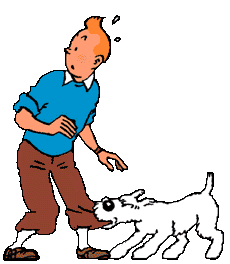 Tintin
