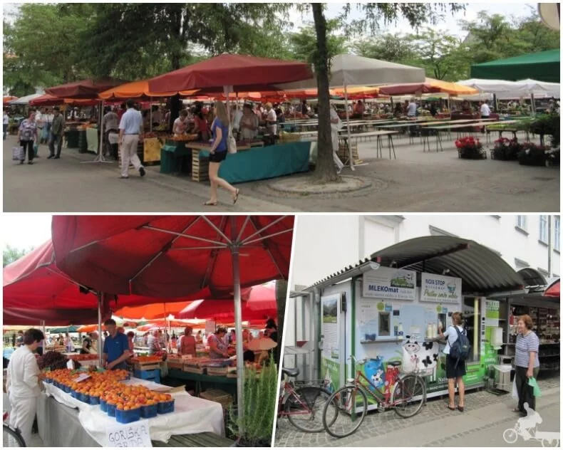plaza Vodnik