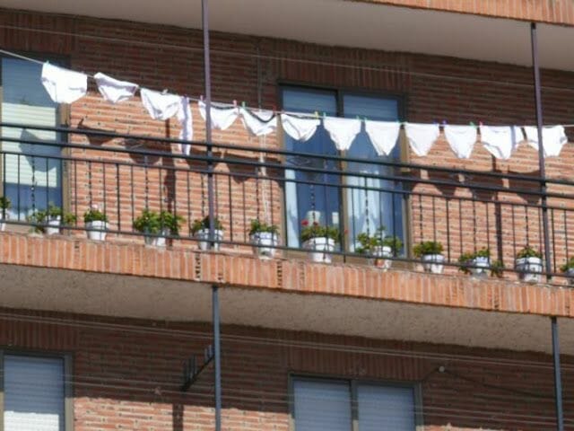 gallumbos tendidos