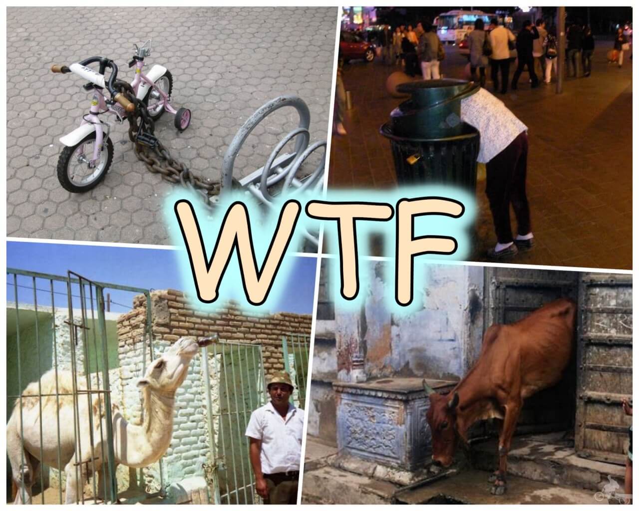 Fotos WTF de viaje