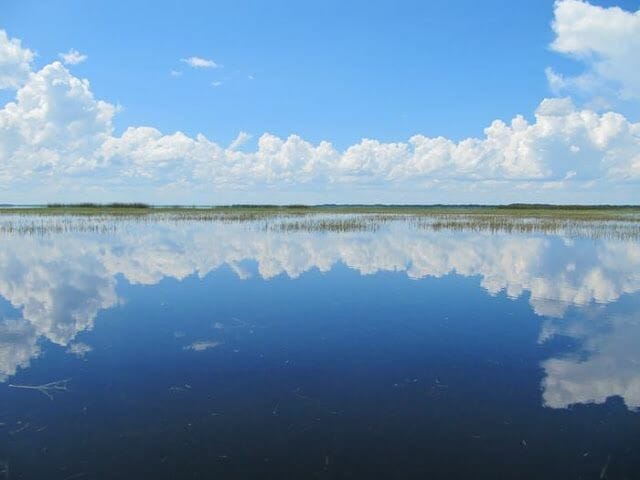 hidrodeslizador en Airboat ride en los Everglades