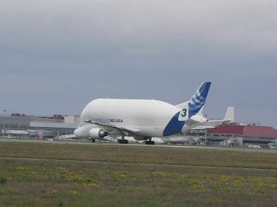 beluga despegando