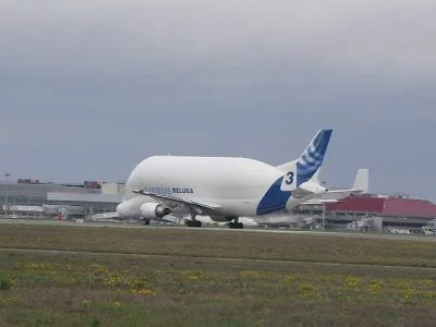 beluga despegando