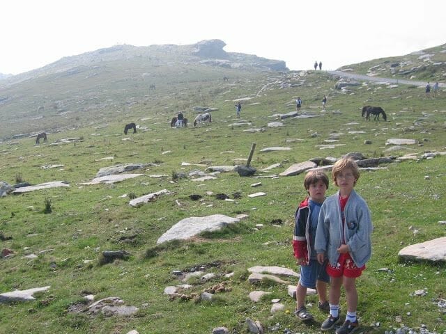 prado de Larrun