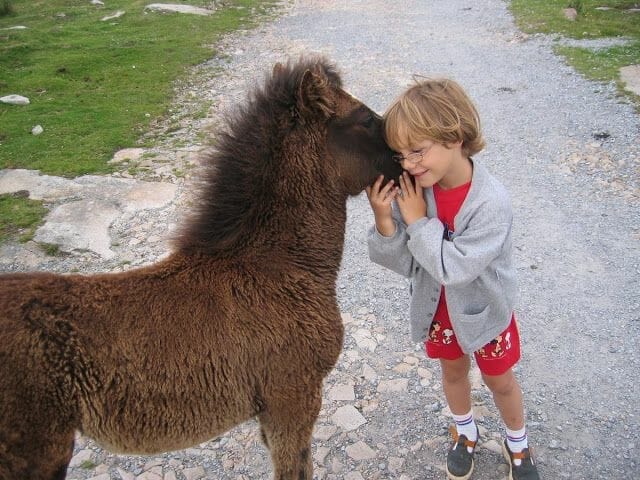Pottoka con un niño