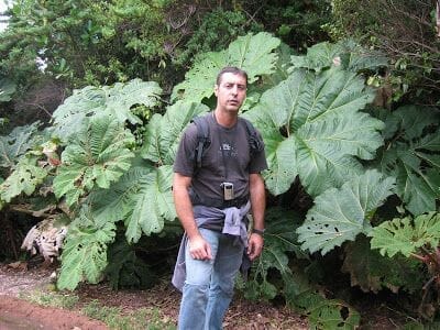 vegetación volcán Poás