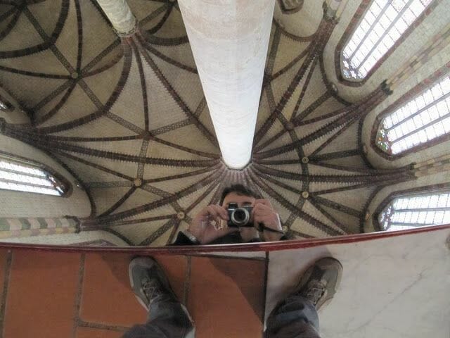 Palmera de 22 nervaduras del Convento de los Jacobinos de Toulouse