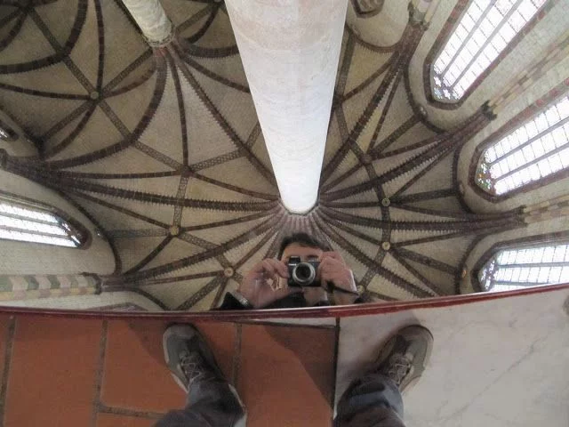 Palmera de 22 nervaduras del Convento de los Jacobinos de Toulouse