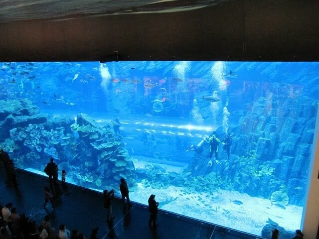 acuario de Dubai Dubai aquarium, Underwater zoo