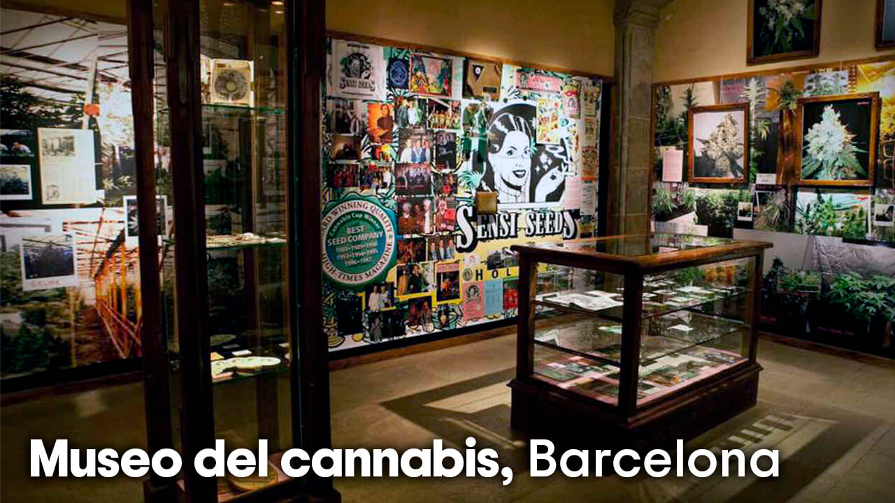 Museo del cannabis de Barcelona