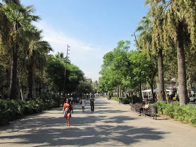 El Gato del Raval