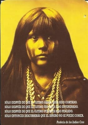 indios americanos frases indios cree