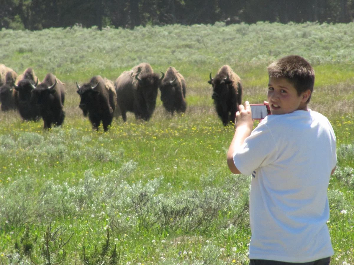 Qué ver en Yellowstone