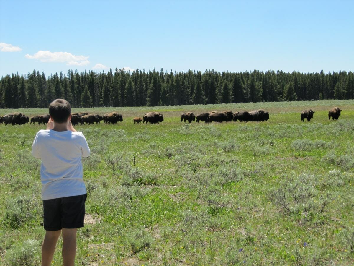 Personas mayores en Yellowstone