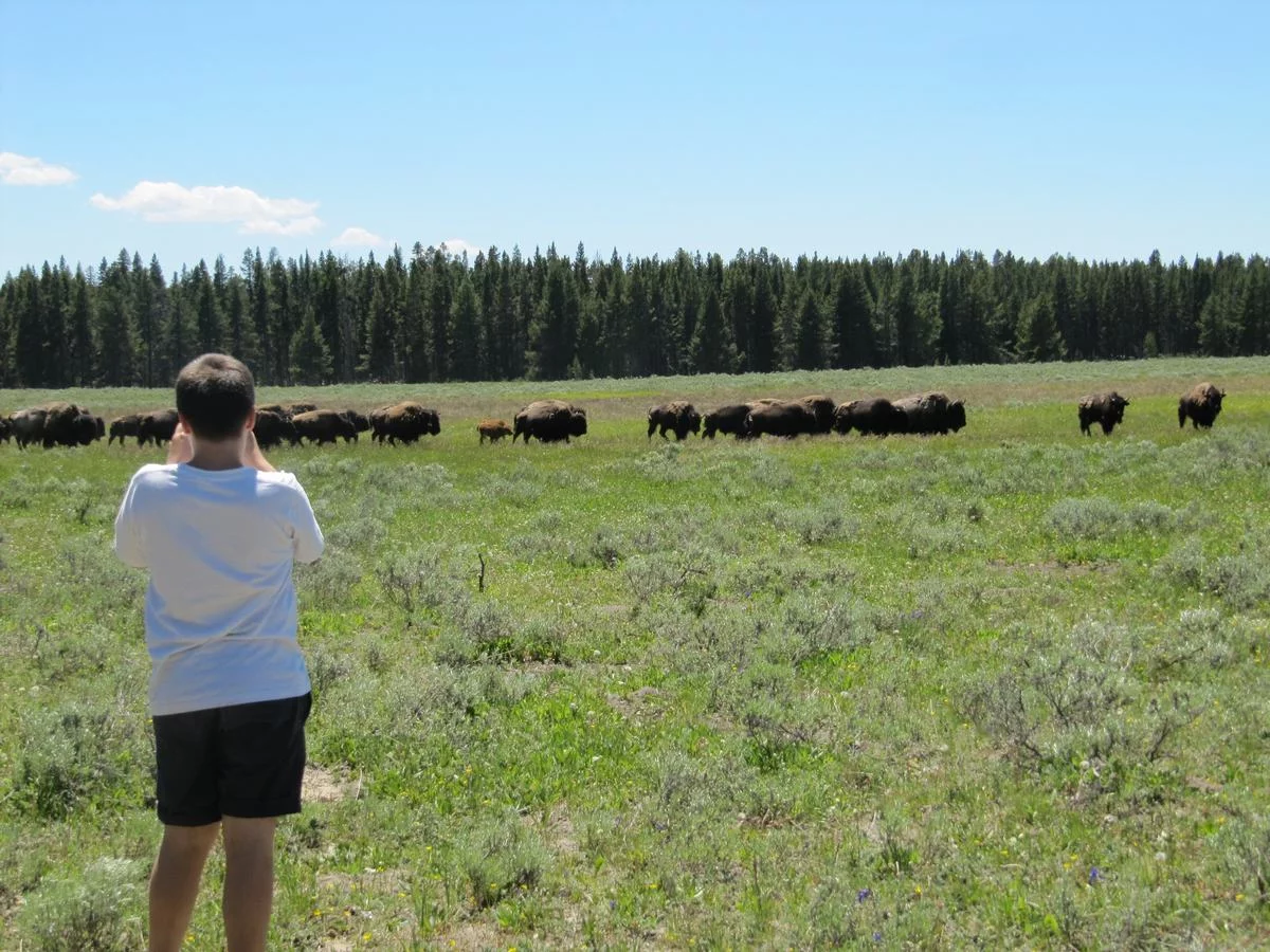 Personas mayores en Yellowstone
