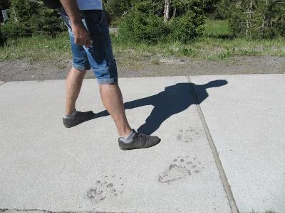 Qué ver en Yellowstone en un día