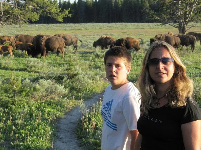 Qué ver en Yellowstone