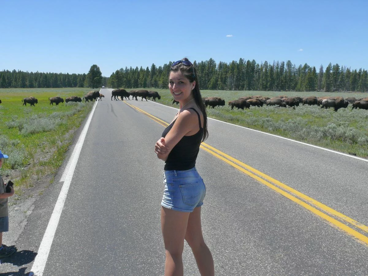 Qué ver en Yellowstone