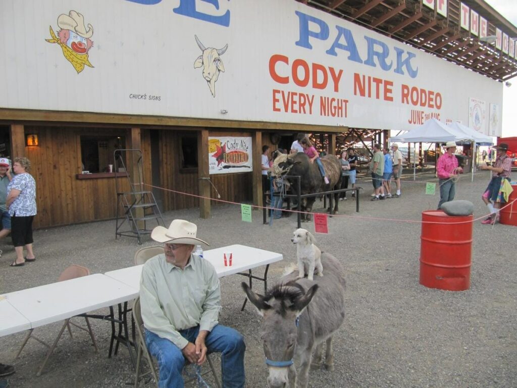 Stampede Rodeo Cody