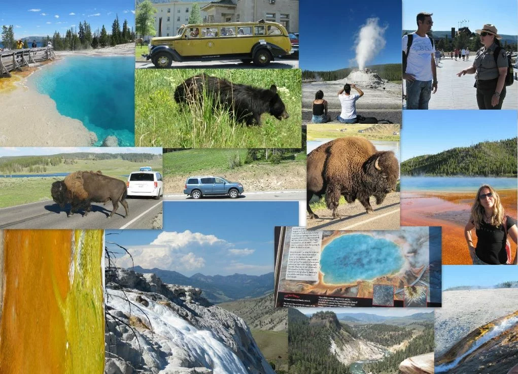 collage Yellowstone Yellowstone 2 - viaje a Wyoming y Dakota del Sur