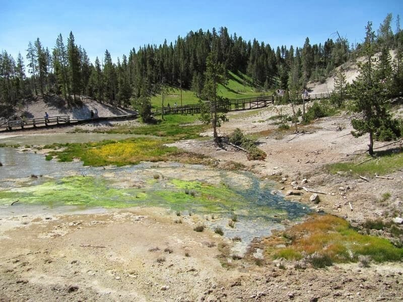 Yellowstone en dos días