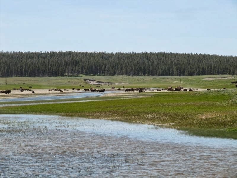 Yellowstone en dos días