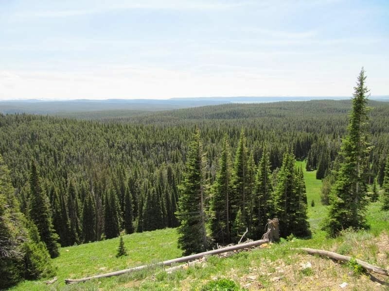 Yellowstone en dos días