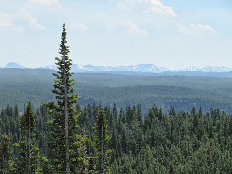 Yellowstone en dos días