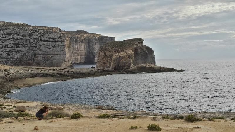 Fungus rock