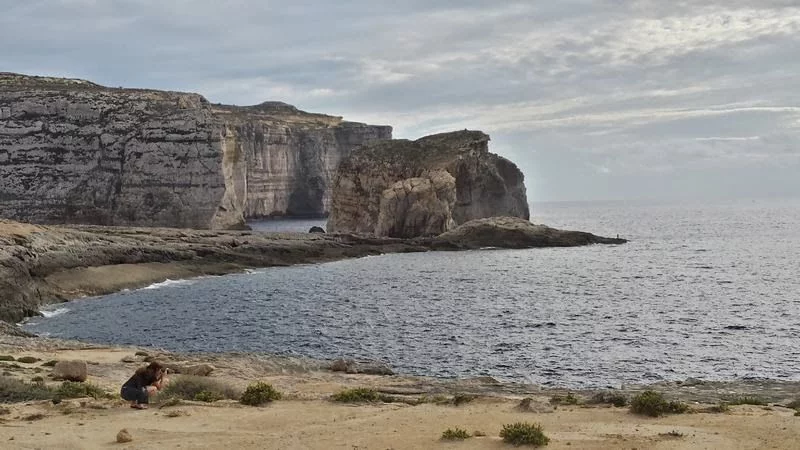 Fungus rock