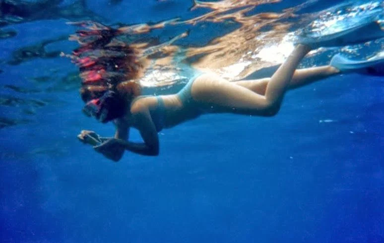 Gran barrera coral snorkel Australia 