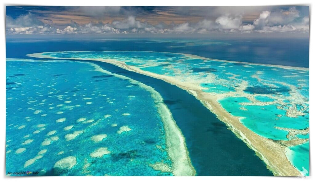 Gran barrera del coral de Australia