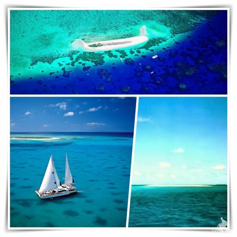 michaelmas cay