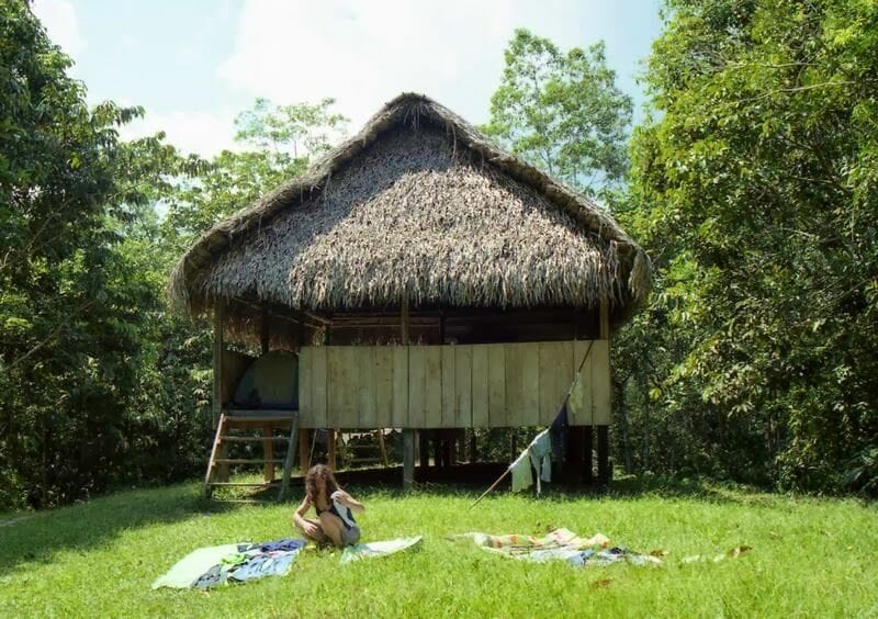 choza en la selva