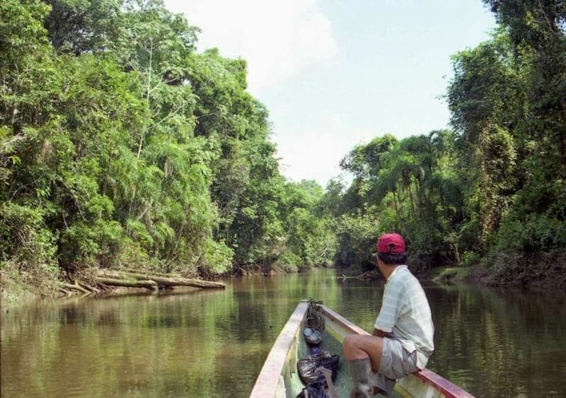 Parque Nacional de Cuyabeno