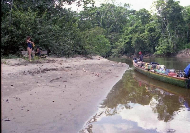 playa de la selva americana