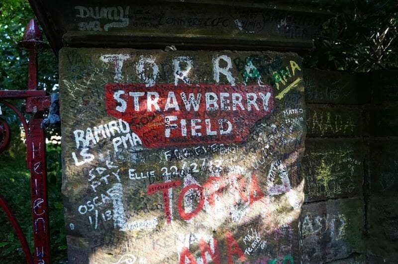 Strawberry field