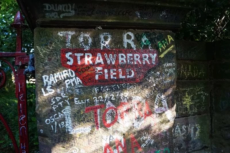 Strawberry field