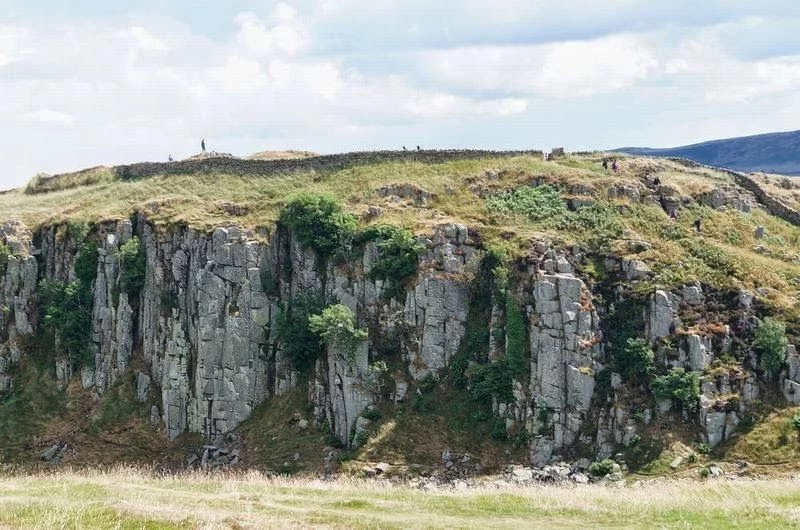Steel Rigg