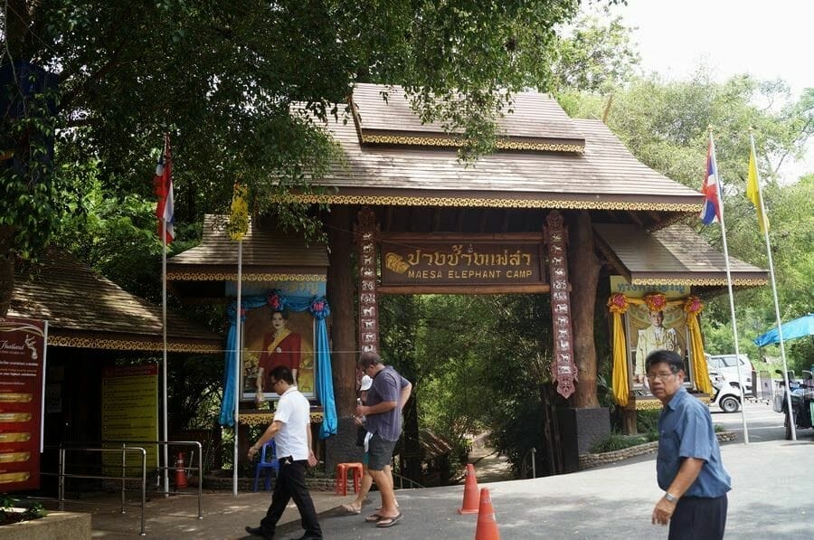Maese Elephant park Chiang mai